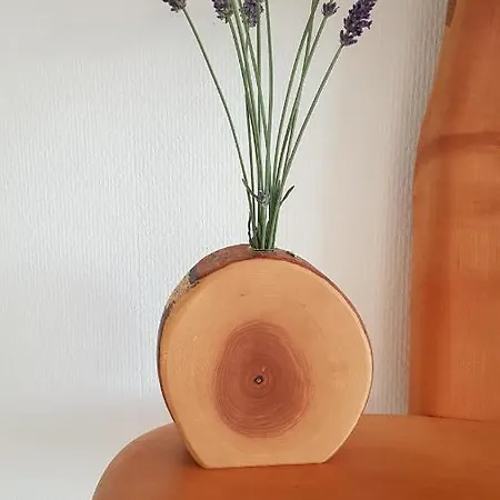 Domizil Koblenz (Rhineland-Palatinate)