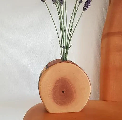 Domizil Koblenz (Rhineland-Palatinate)