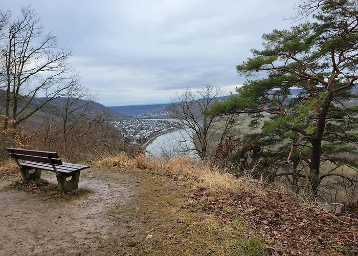 Domizil Appartement Koblenz (Rhineland-Palatinate)
